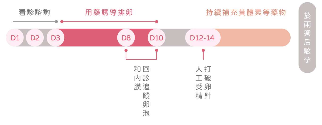 IUI Treatment Process