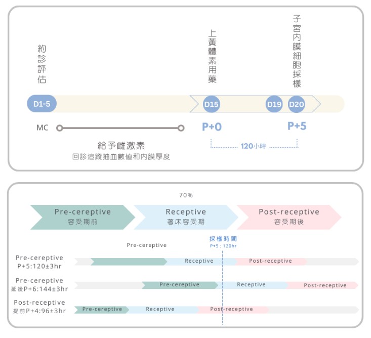 EndomeTRIO Testing Process