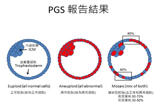 PGT-A Genetic Analysis